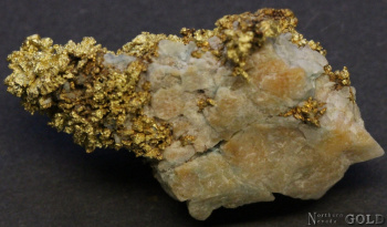 specimen_gold_5370ml-c