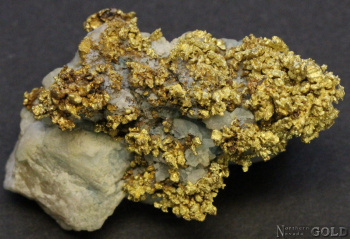 specimen_gold_5370ml-d