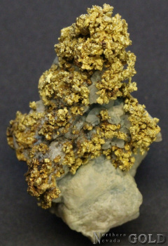 specimen_gold_5370ml