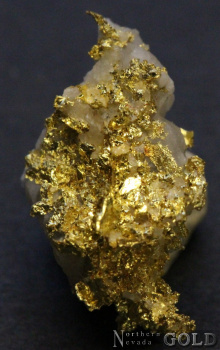 specimen_gold_5373hv-b