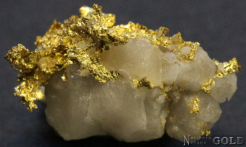 specimen_gold_5373hv