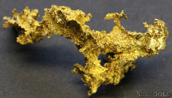 specimen_gold_5374or-b