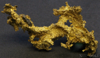 specimen_gold_5374or