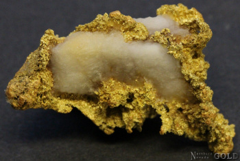 specimen_gold_5376hv-c