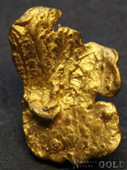 specimen_gold_5379pp-b