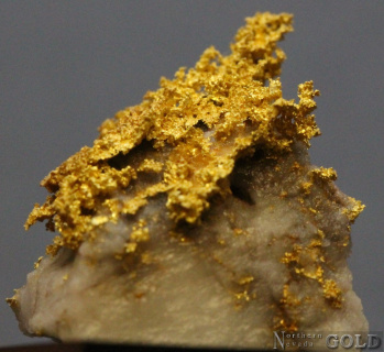 specimen_gold_5382sc-b