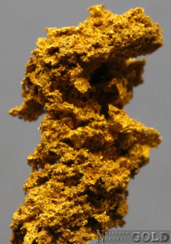 specimen_gold_5383sc-b