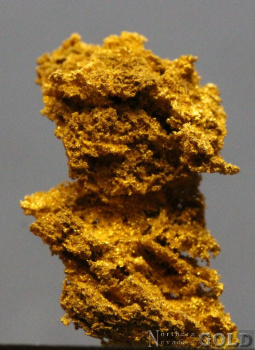 specimen_gold_5383sc