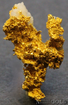 specimen_gold_5384sc-b