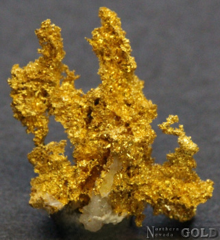 specimen_gold_5387sc-b