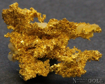 specimen_gold_5387sc