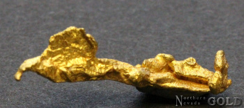 specimen_gold_5389bz