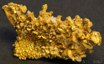 specimen_gold_5414rm-b