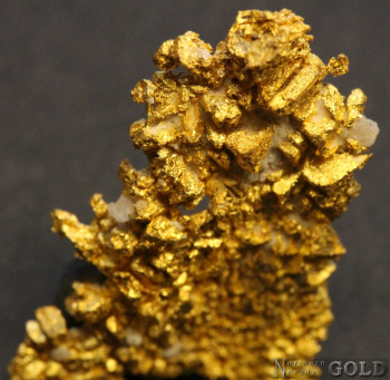 specimen_gold_5414rm-c