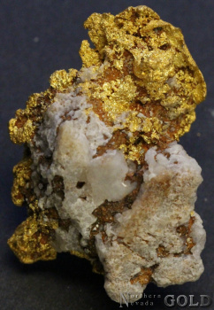 specimen_gold_5415ml-b