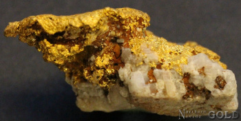 specimen_gold_5415ml-c