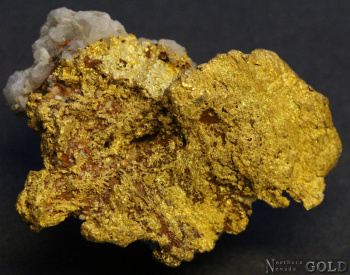 specimen_gold_5415ml