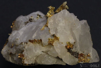 specimen_gold_5421or-b