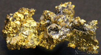 specimen_gold_5422bldm-c