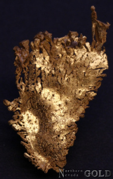 specimen_gold_5423rm