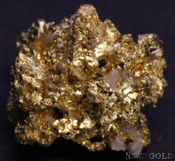 specimen_gold_5428ml