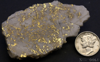 specimen_gold_5431sx