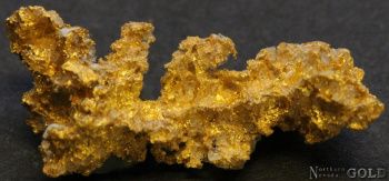 specimen_gold_5440ec