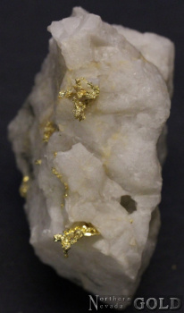 specimen_gold_5451ml-b