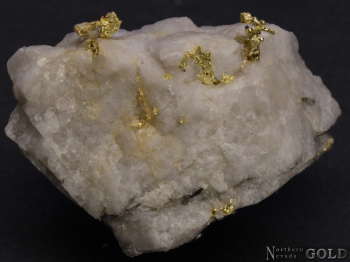 specimen_gold_5451ml-c