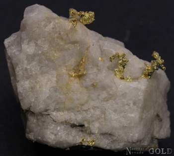 specimen_gold_5451ml