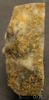 specimen_gold_5454st-d