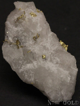 specimen_gold_5461or-b