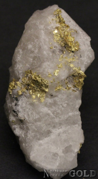 specimen_gold_5461or-c