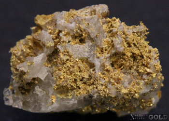 specimen_gold_5471ht