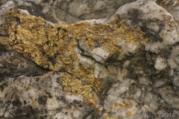 specimen_gold_5473yr-c