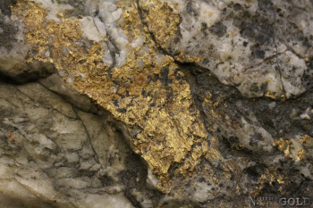 specimen_gold_5473yr-d