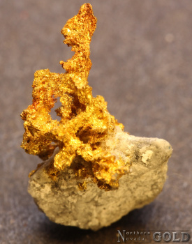 specimen_gold_5651-b