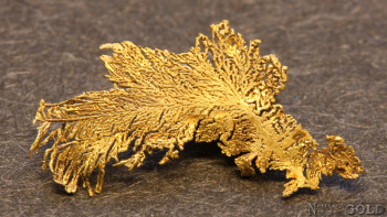 specimen_gold_5656