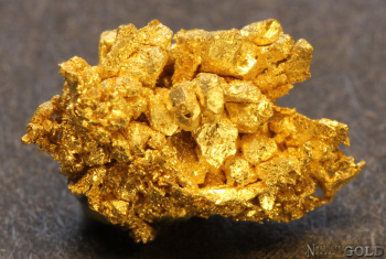 specimen_gold_5697rm