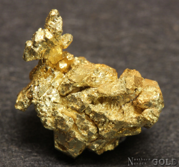 specimen_gold_5703rm