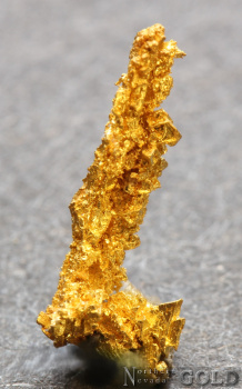 specimen_gold_5704pam-c
