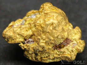 gold_nugget_4818
