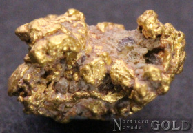 gold_nugget_4828