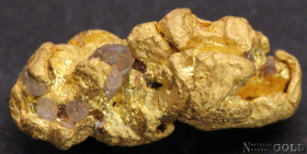 gold_nugget_4837