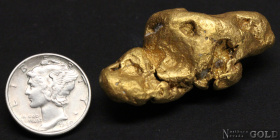 gold_nugget_4940