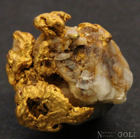 gold_nugget_4949
