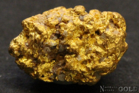gold_nugget_4959
