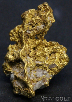 gold_nugget_5398