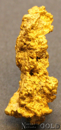 gold_nugget_5543b