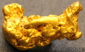 gold_nugget_5545